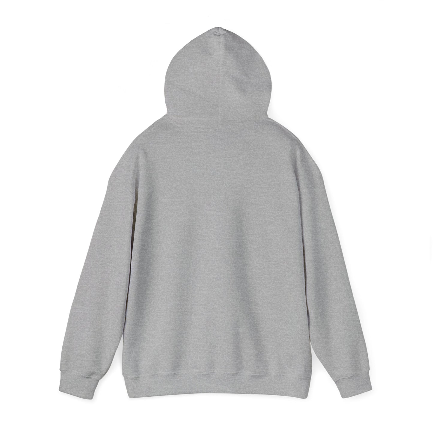 Unisex Heavy Blend™ Hooded Sweatshirt (Available in a Variety of Colors)